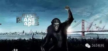 猩猩王电影在线观看,重返原始森林的惊险之旅  第1张